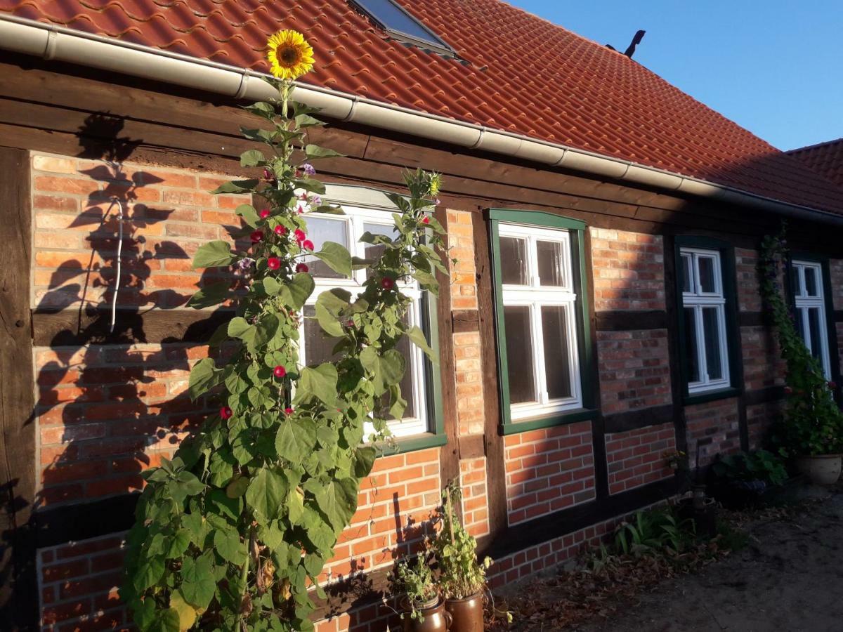 Pension Up'N Doerp Plattenburg Exterior foto